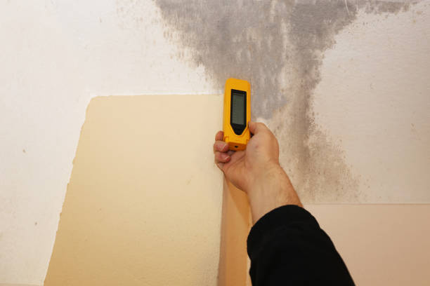 Best Environmental Consulting for Mold Prevention  in Mchenry, IL